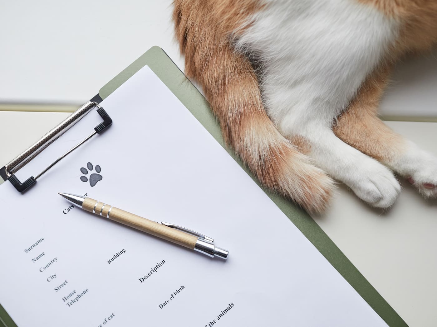 Pet medical chart and clinic paperwork