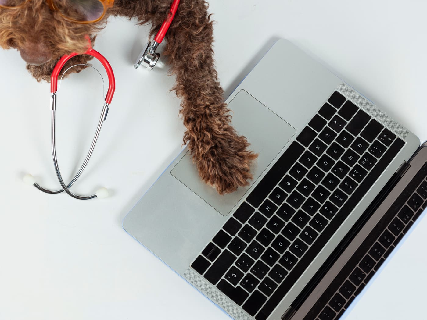 Laptop and stethoscope ready for online booking